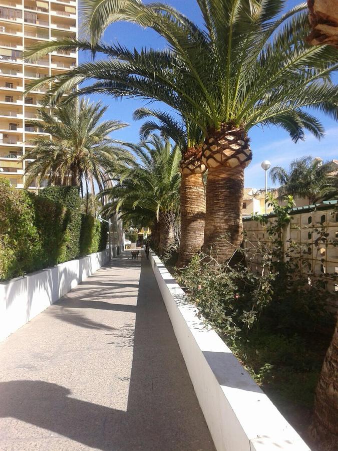 Apartamento Puigval Exterior photo